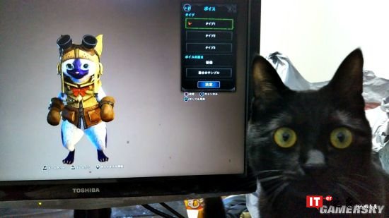 怪物猎人世界不仅让你痴迷 也吸引这些真猫的注意力