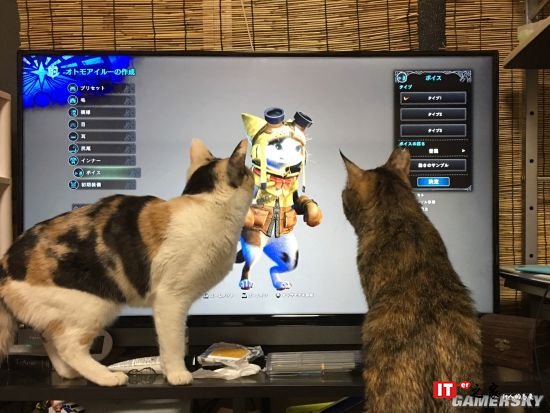 怪物猎人世界不仅让你痴迷 也吸引这些真猫的注意力