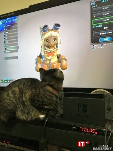 怪物猎人世界不仅让你痴迷 也吸引这些真猫的注意力