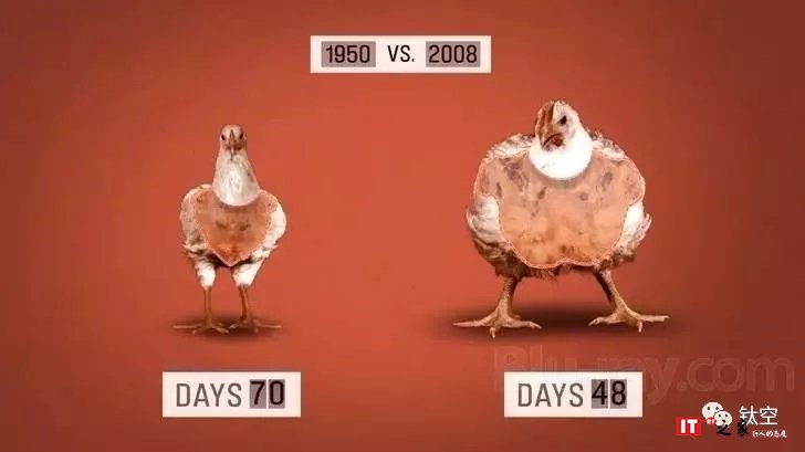 你不知道的饮食秘密，让你吃得更聪明 | 好书优选