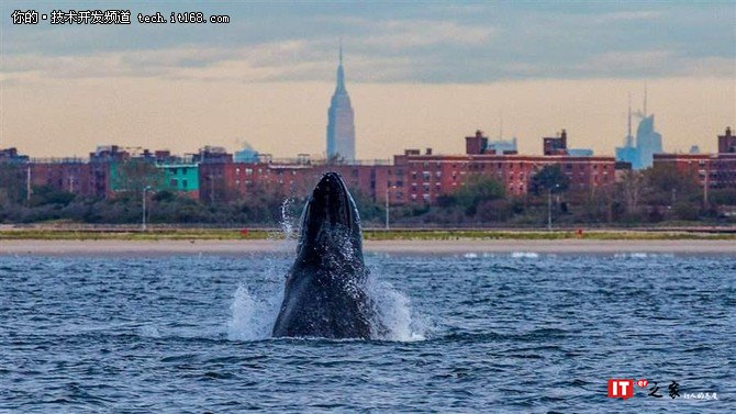 Docker“生死”记，这条船还能开出去多远？
