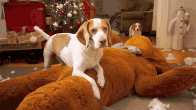 从小培养爱心,你需要这条黑科技 “汪星人” | 生活方式