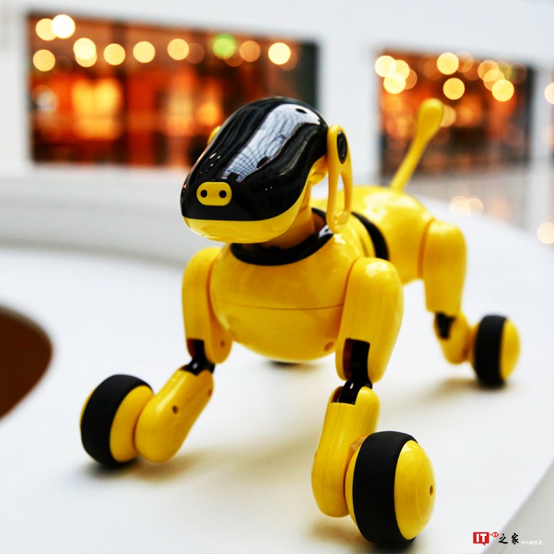 从小培养爱心,你需要这条黑科技 “汪星人” | 生活方式