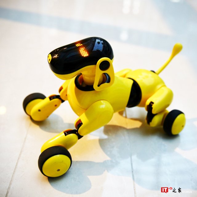 从小培养爱心,你需要这条黑科技 “汪星人” | 生活方式