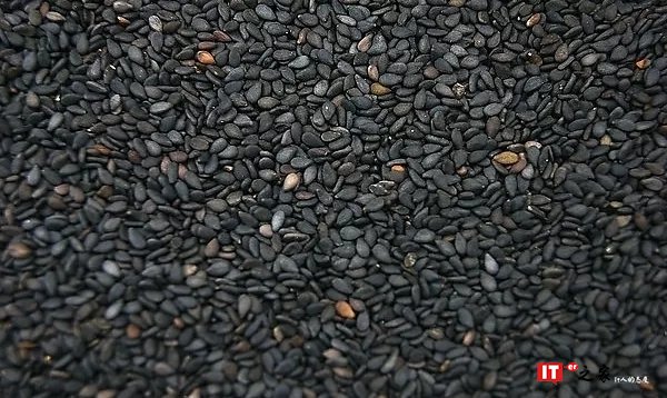 绝不能输在发际线上,如何吃出乌黑秀发 | 生活方式