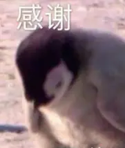 导航代码怎么写__编程导航app