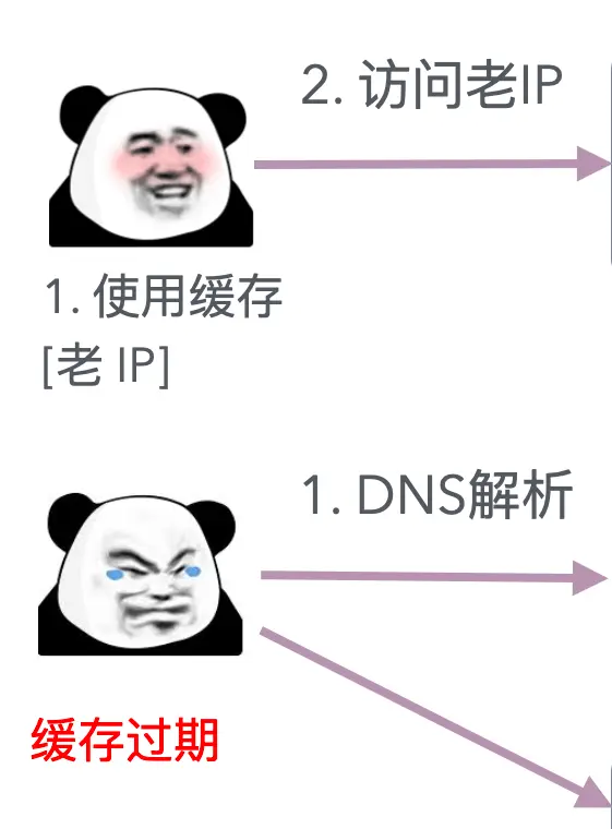 导航代码怎么写_编程导航app_