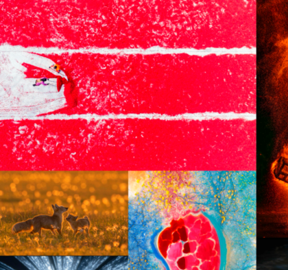 第八届京东影像大赛落幕 全民创作助推影像文化普及