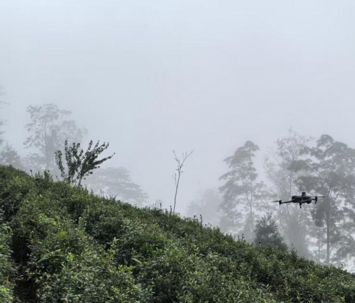 _绵阳到九寨沟的距离_绵阳至三亚自驾距离
