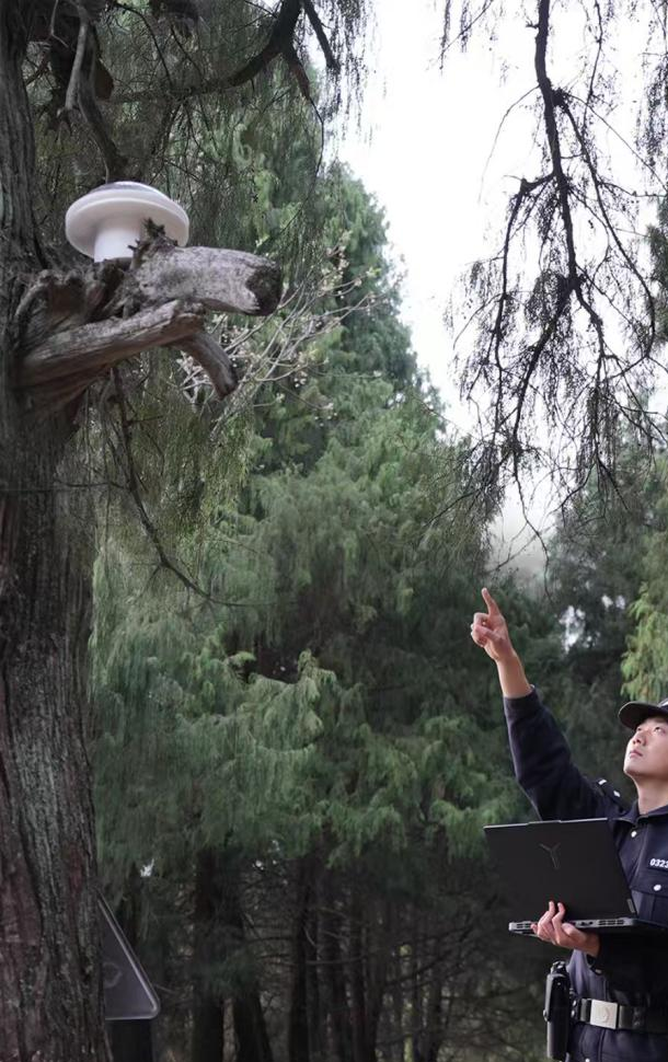 绵阳到九寨沟的距离_绵阳至三亚自驾距离_