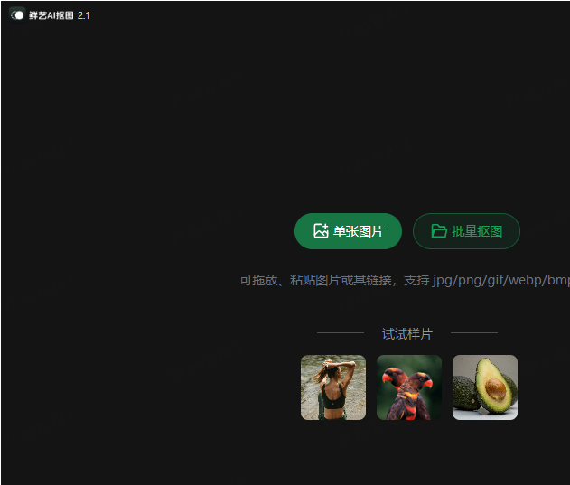 鲜艺AI抠图(免费智能一键AI抠图软件)